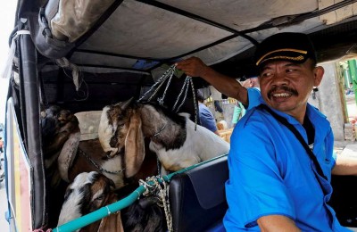 Kehidupan orang Indonesia sehari-hari: 13 foto